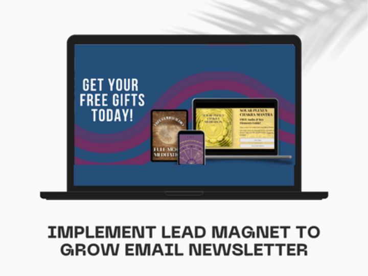 Cover image for Implement Lead Magnet to Grow Email Newsletter