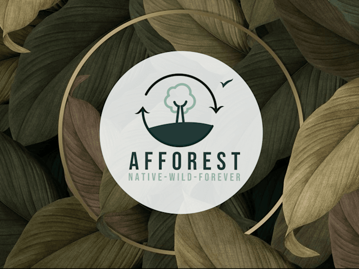Cover image for Logo Design