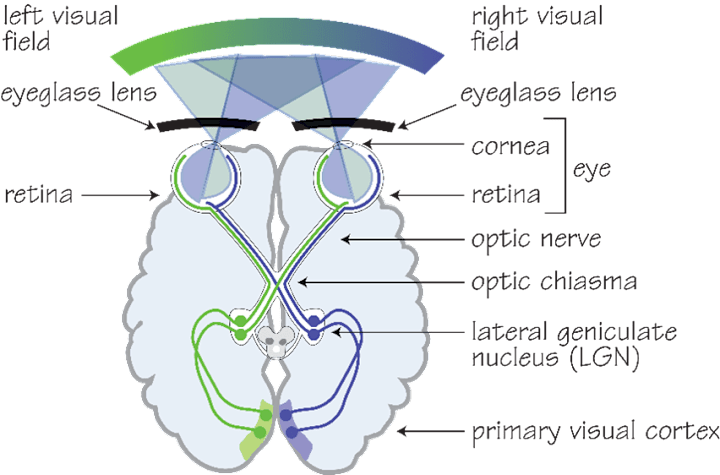 Cover image for Scientific Literature Review