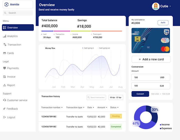 Cover image for Anmite fintech dashboard