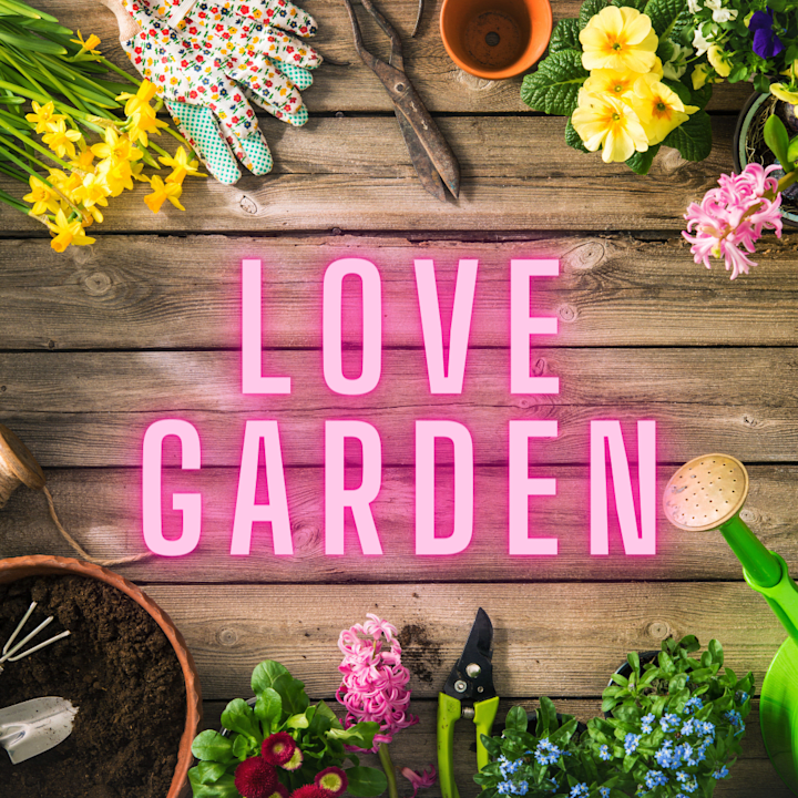 Cover image for Love Garden