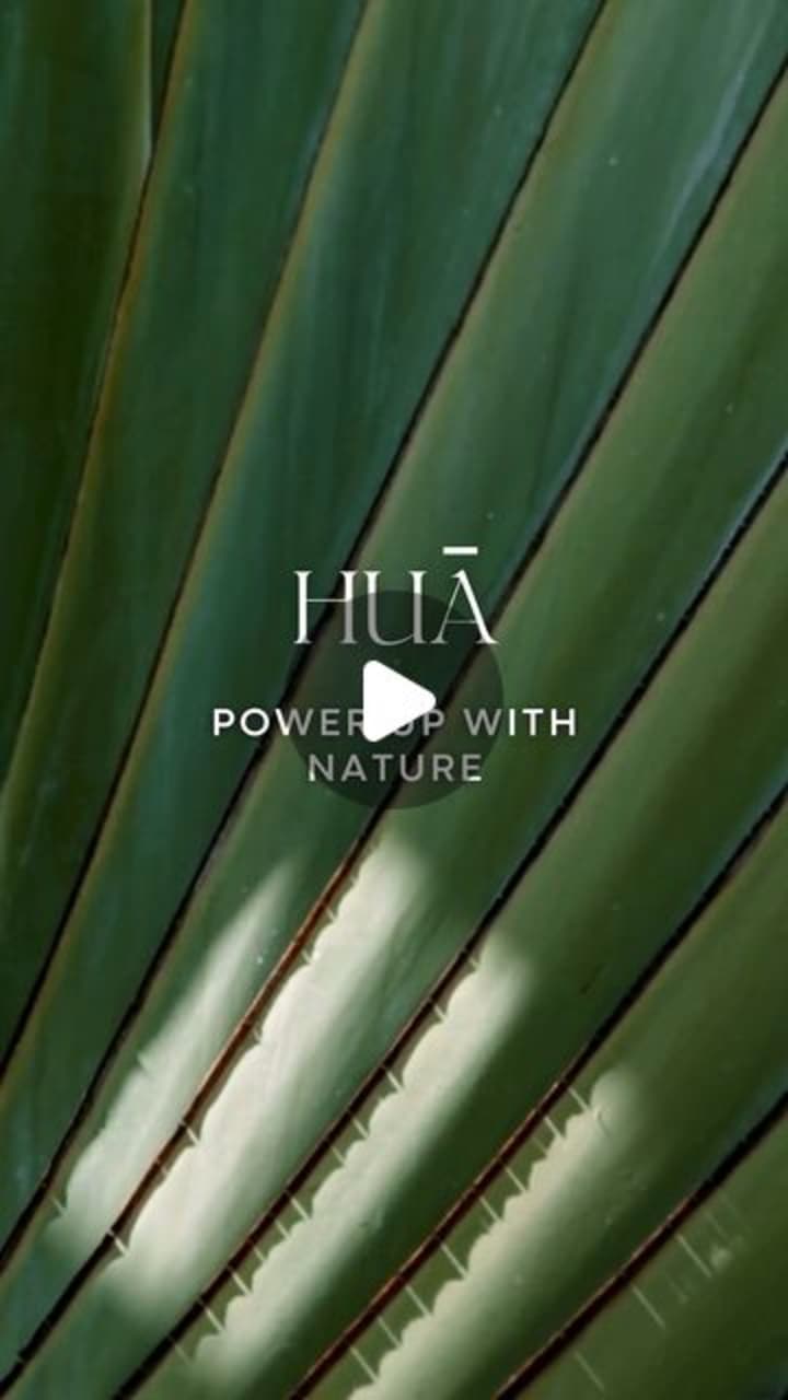 Cover image for HUA WELLNESS