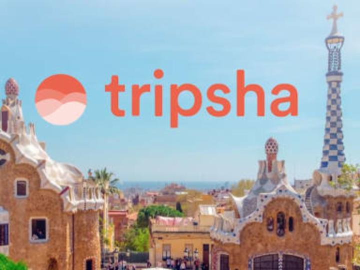 Cover image for Tripsha pitch deck & fundraising