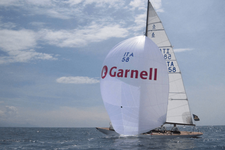 Cover image for Garnell