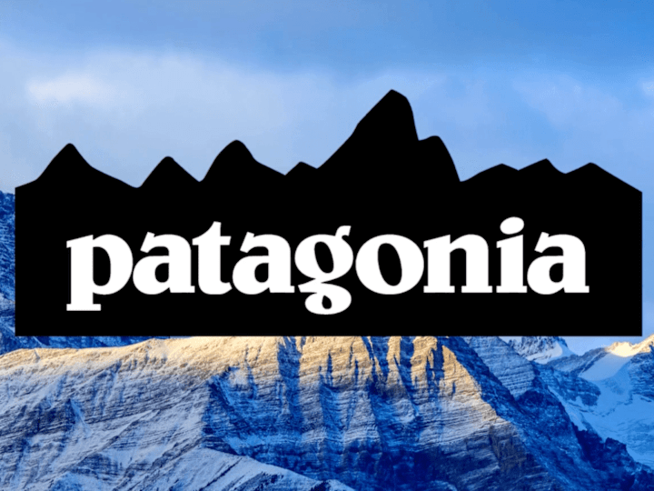 Cover image for Patagonia Video Ad