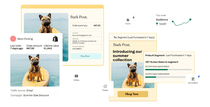 Cover image for Easy Email Marketing for ECommerce - tinyEmail® Marketing Autom…