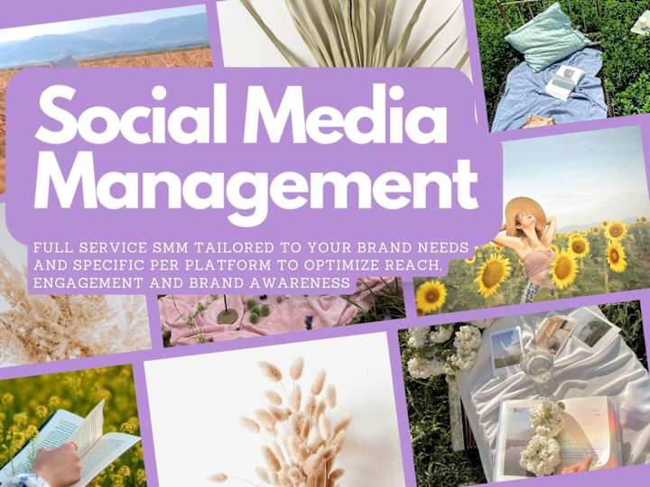 Cover image for Social Media Management