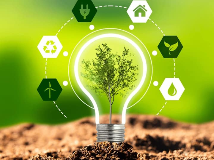 Cover image for Essay on Environmental Sustainability