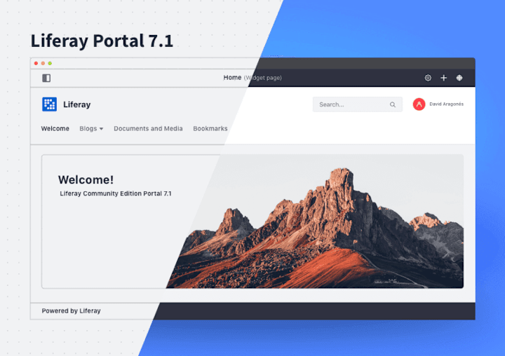 Cover image for Liferay DXP