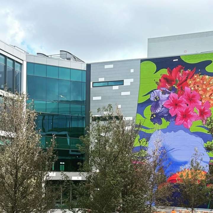 Cover image for Courtyard Mural for Karlin Real Estate Campus