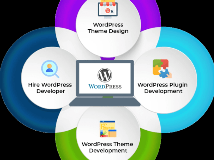 Cover image for Web Developer Expert | WordPress Expert | Custom Theme Develop