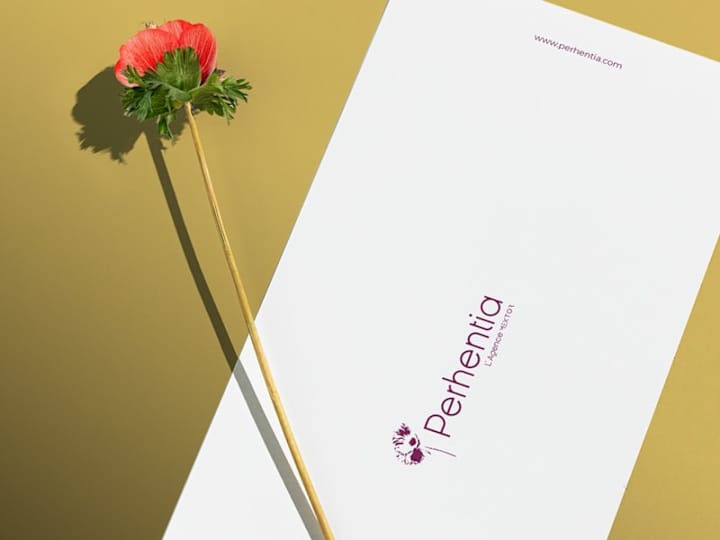 Cover image for The identity of the Perhentia agency