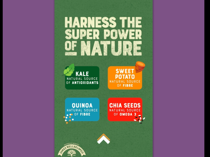 Cover image for Social media advertisement for dog food