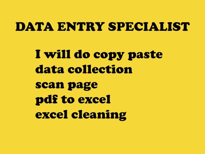 Cover image for Data Entry Freelancer