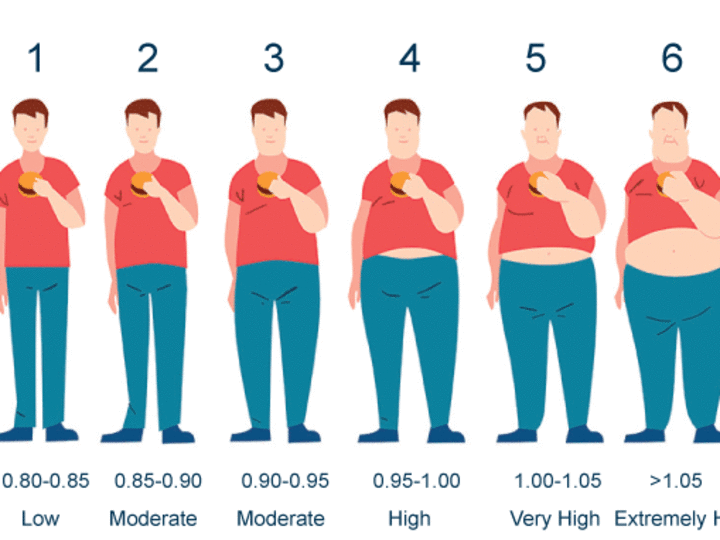 Cover image for Obesity Level Classification
