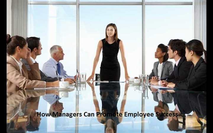 Cover image for How Managers Can Promote Employee Success