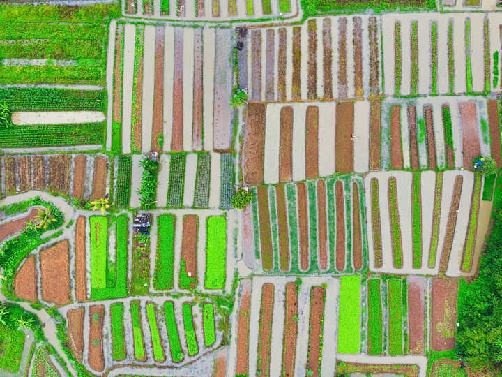 Cover image for Saas: Agriculture yield estimation and crop placement optimizati