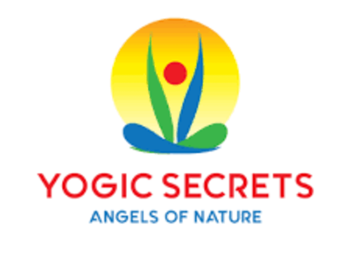 Cover image for E-Commerce Success for Yogic Secrets