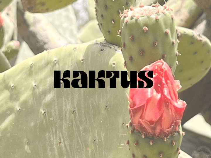 Cover image for Kaktus, A Cactus Soda