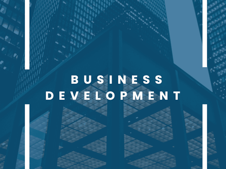 Cover image for Business Development 