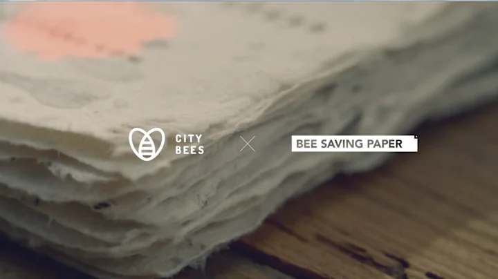Cover image for Bee Saving Paper