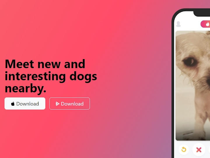 Cover image for Tin-Dog