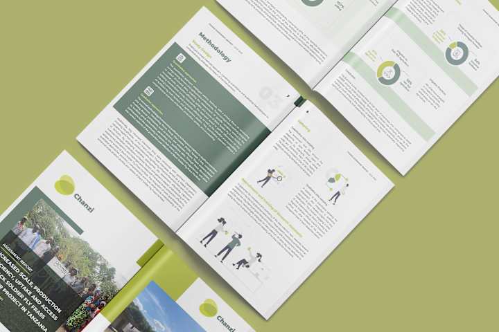 Cover image for (Adobe Indesign) - Document Branding Projects