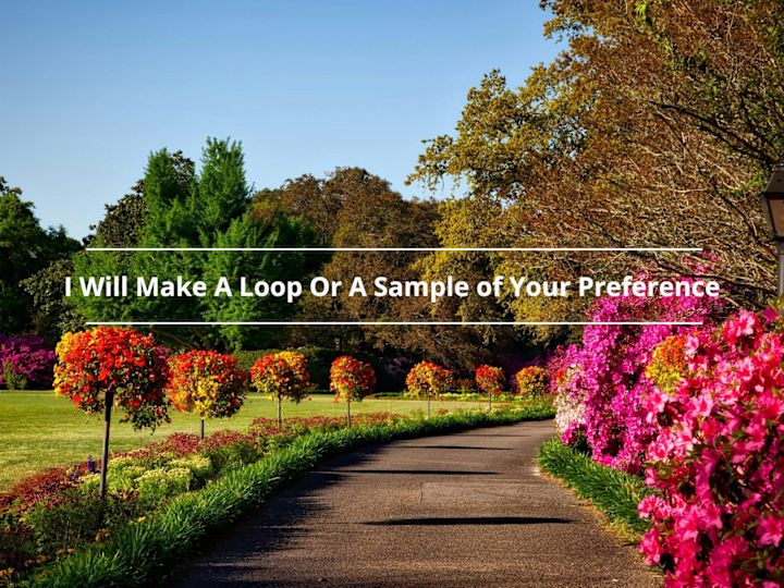 Cover image for I Will Make A Loop Or A Sample of Your Preference