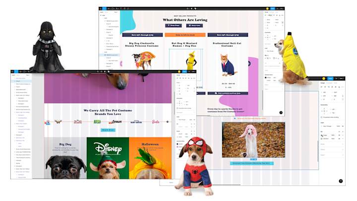 Cover image for Pet Costume Center Homepage Redesign