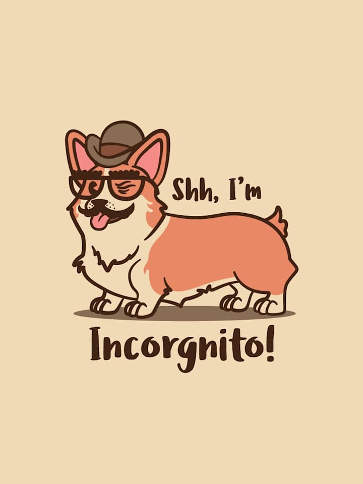 Cover image for Incorgnito