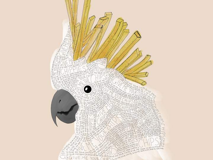 Cover image for Custom Digital Illustration