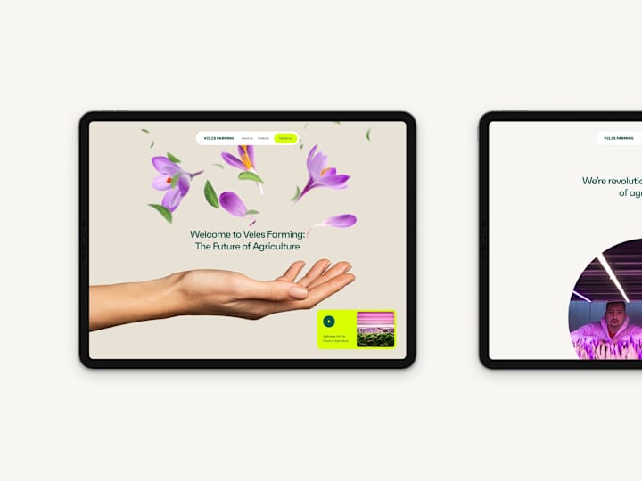 Cover image for Veles Farming – Webflow website
