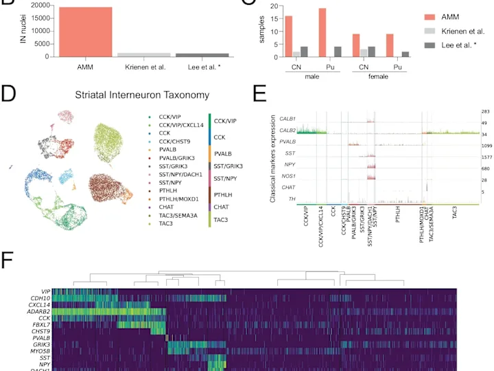 Cover image for Analysis of single-nuclei RNA sequencing data 