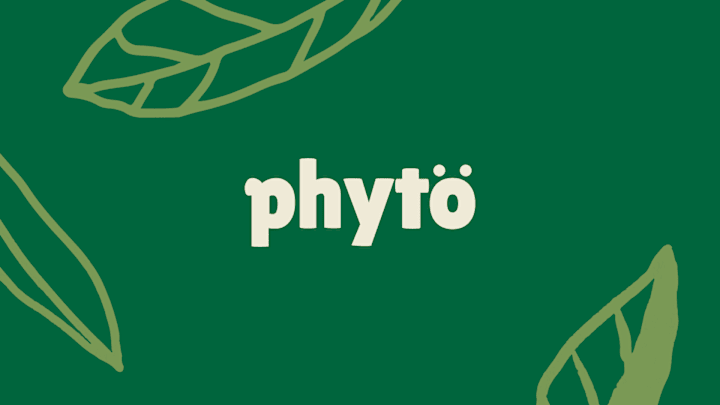 Cover image for Phyto — Redefining Fast Food