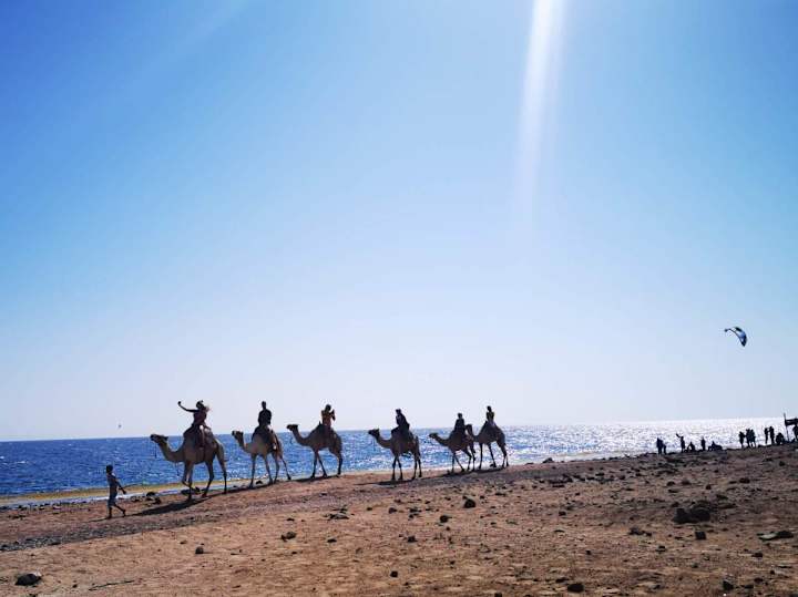 Cover image for A Week in Dahab