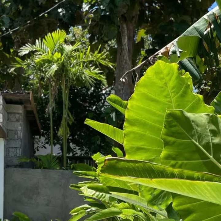Cover image for Photo content for a villa