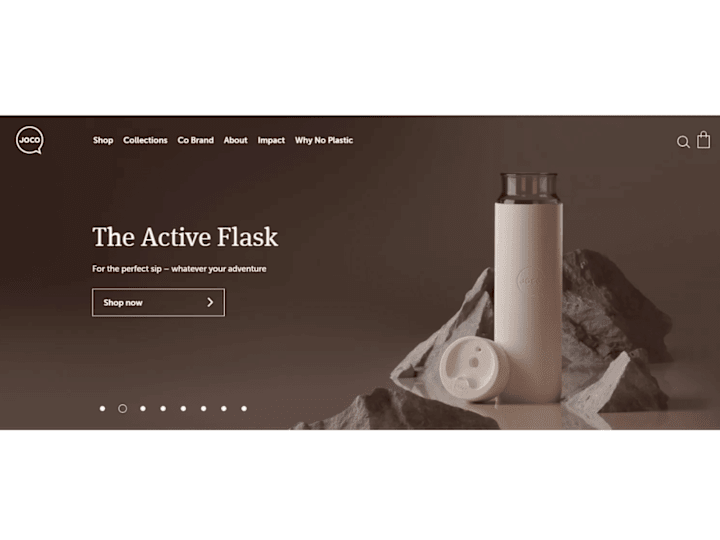 Cover image for Shopify Development