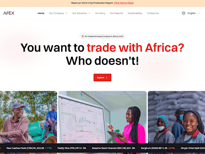 Cover image for Afex Nigeria website redesign