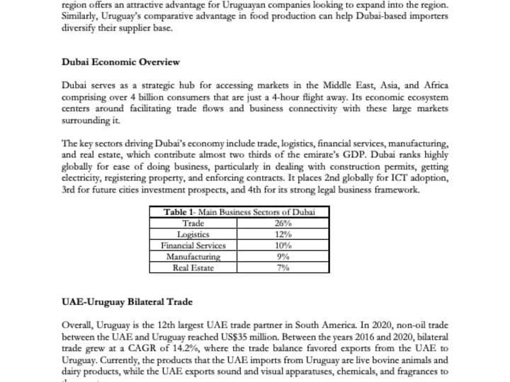 Cover image for Report on UAE-Uruguay Business Synergies 
