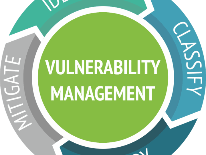 Cover image for Vulnerability Assessment