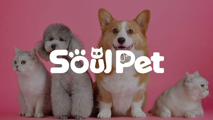 Cover image for Soulpet - Visual identity