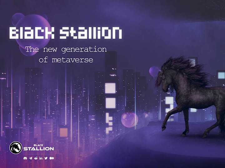 Cover image for Black Stallion