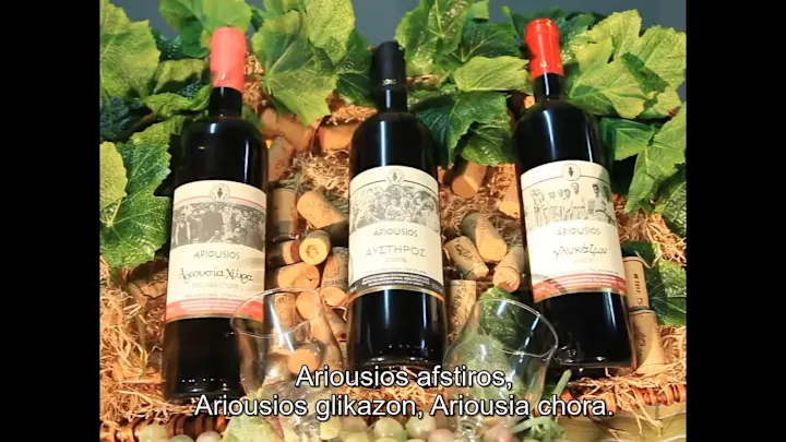 Cover image for FR-ENG-GR Subtitles of Greek wine spot