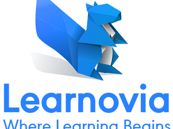 Cover image for Learnovia