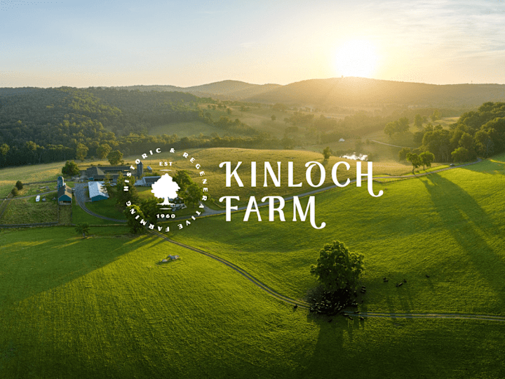 Cover image for Kinloch Farm Branding & Marketing Collateral