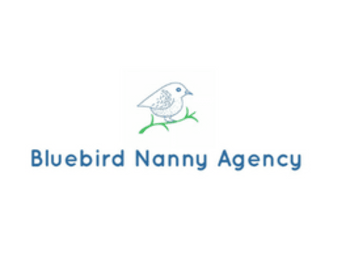 Cover image for Bluebird Nanny Agency