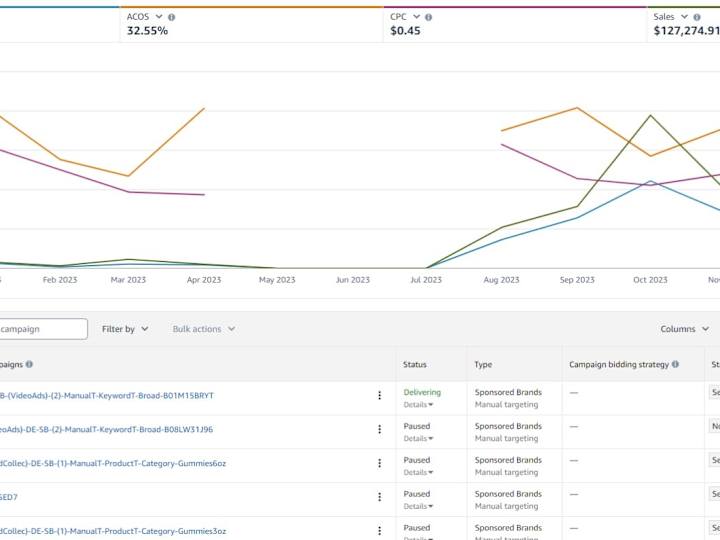 Cover image for Project Deliverables for Amazon PPC and Amazon Ads Services