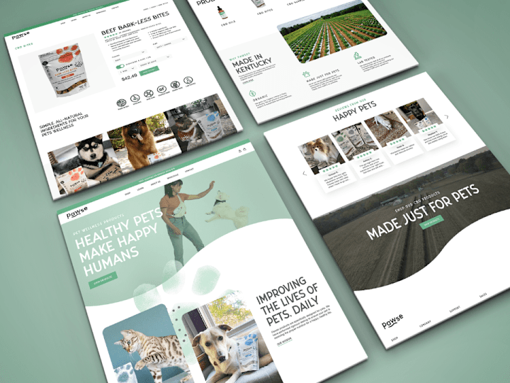 Cover image for Shopify Customization for a Pet Wellness Brand’s Seamless Experi