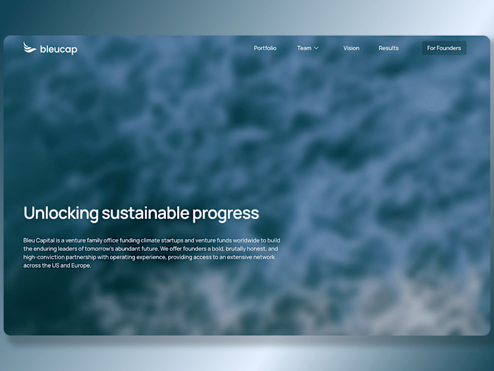 Cover image for Bleu Capital – Webflow development project