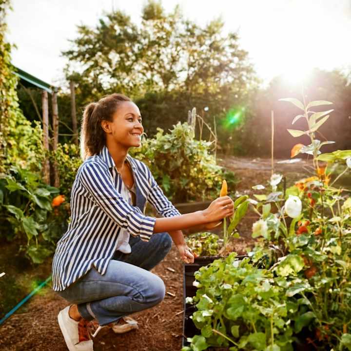 Cover image for Urban Gardening Benefits: Growing Your Own Food in Limited Spac…